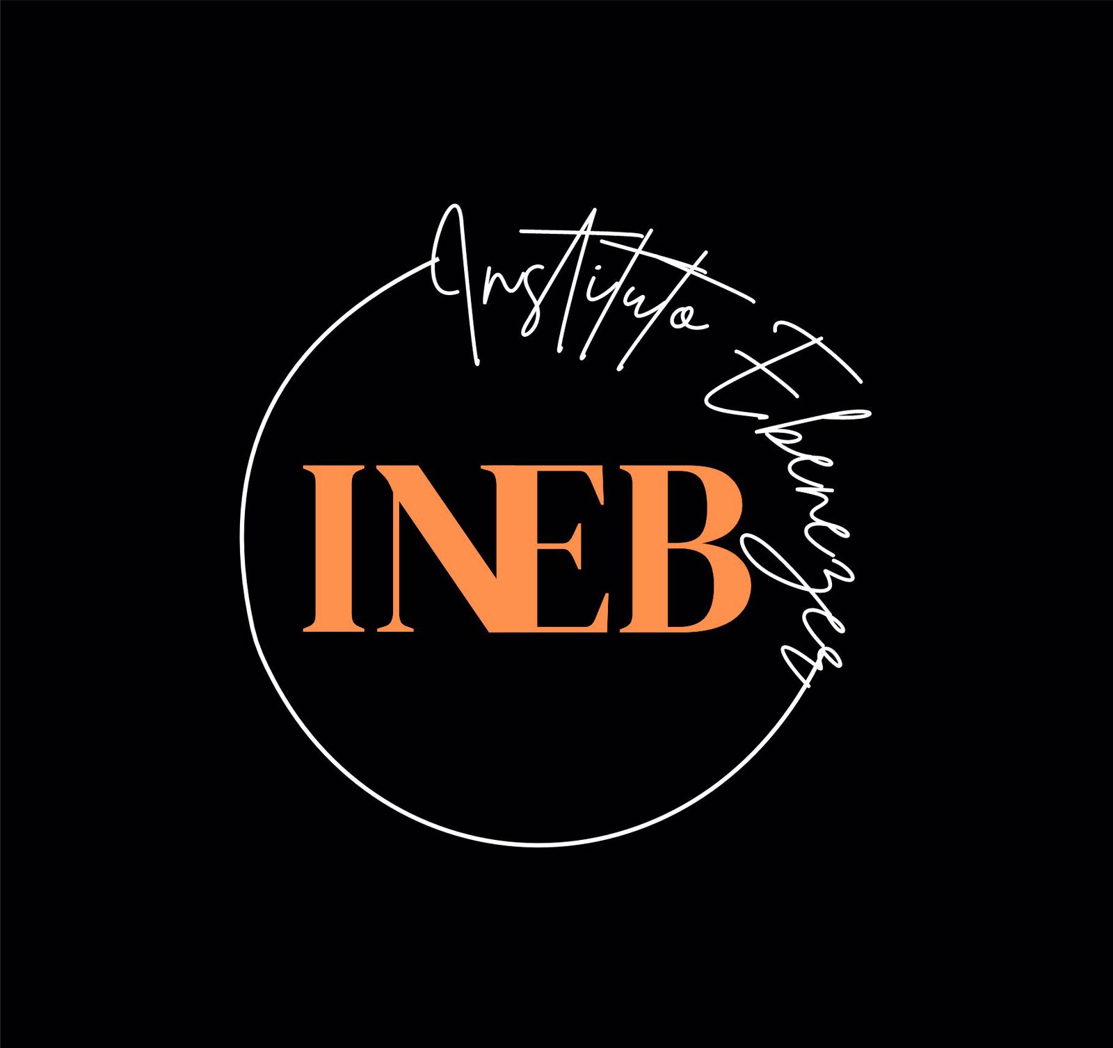 Instituto INEB